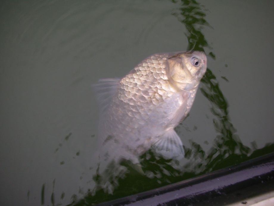 DSCN5368.JPG