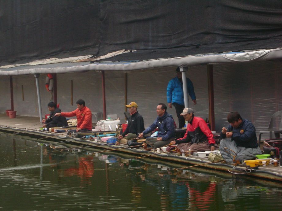 DSCN5373.JPG