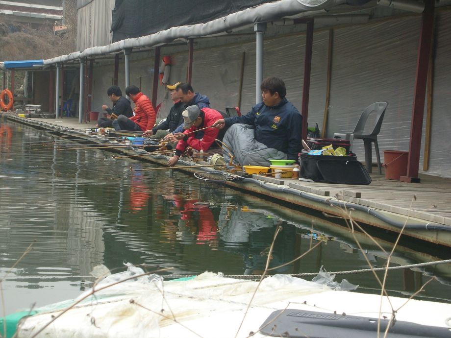 DSCN5374.JPG
