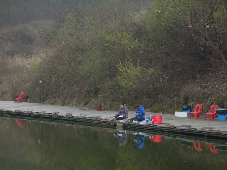 DSCN5376.JPG