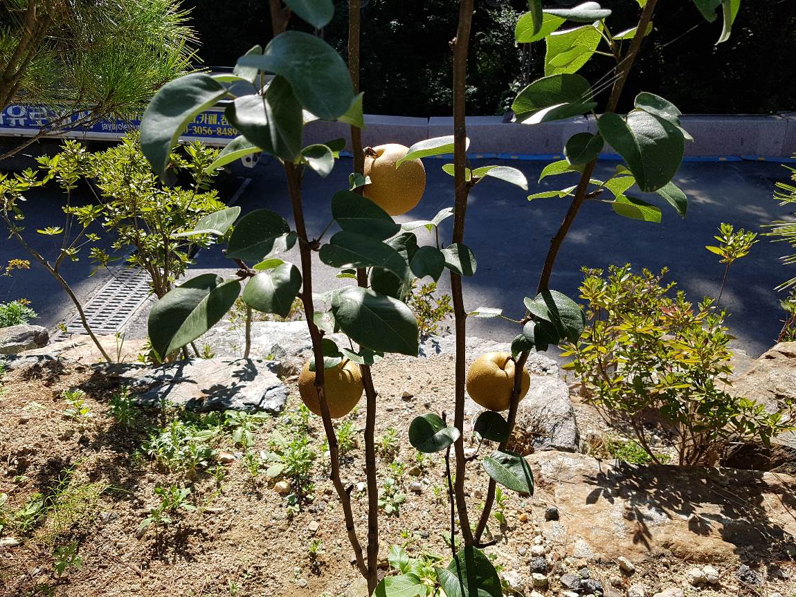 ½Ä´ç¿· ¹è.jpg