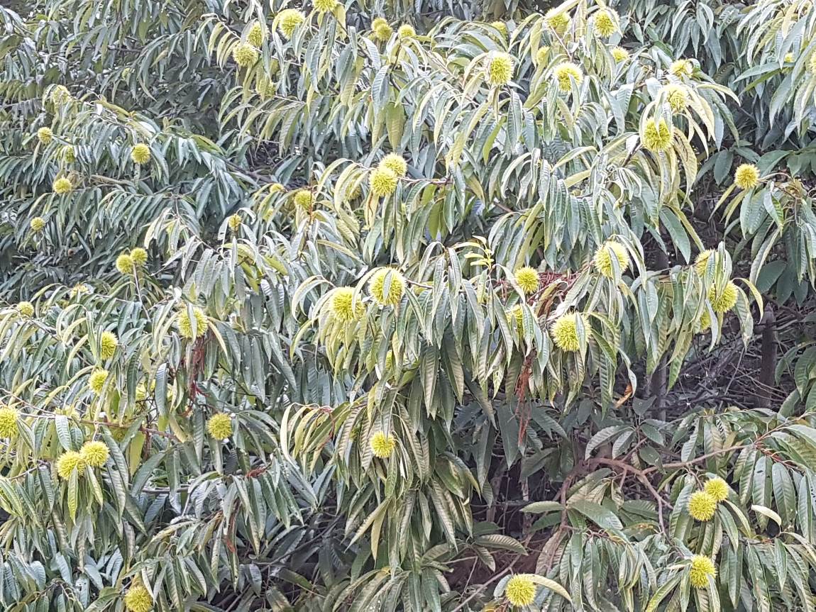 �㳪�� ��.jpg