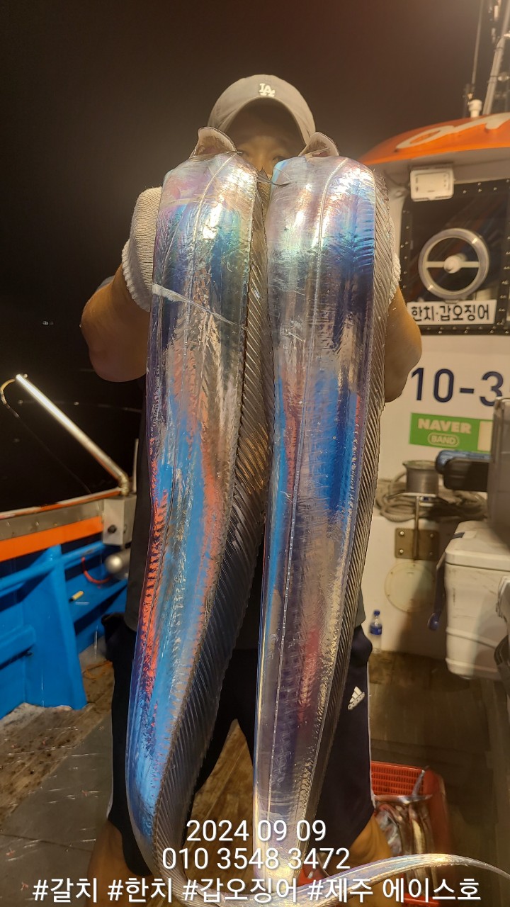 BandPhoto_2024_09_09_10_26_25_3.jpg
