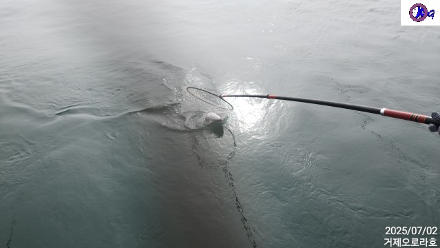 TimePhoto_20250702_082031.jpg