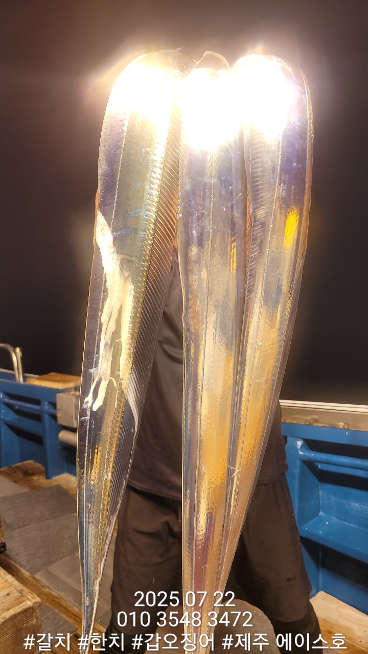 BandPhoto_2025_07_23_16_13_34_9.jpg