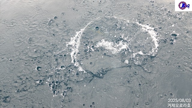 TimePhoto_20250803_092548.jpg