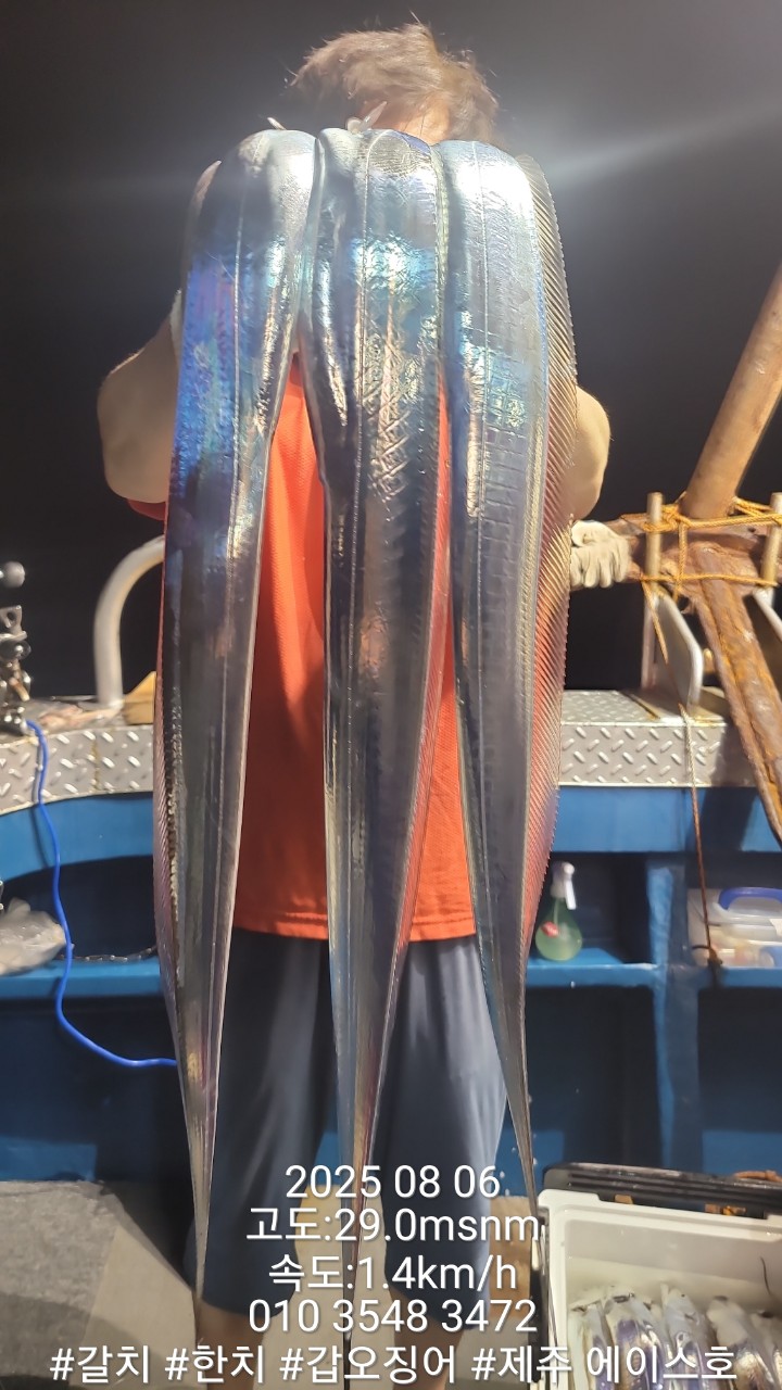BandPhoto_2025_08_06_11_51_25_9.jpg