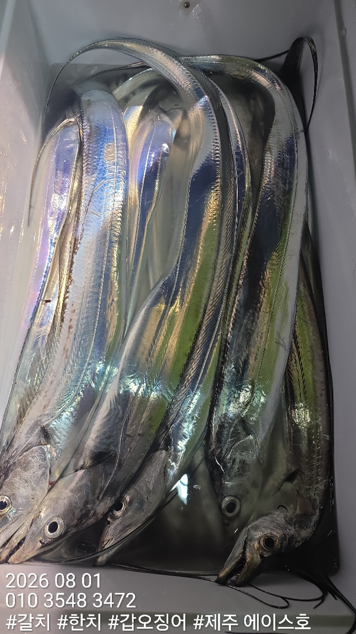 KakaoTalk_20260801_140659266_05.jpg