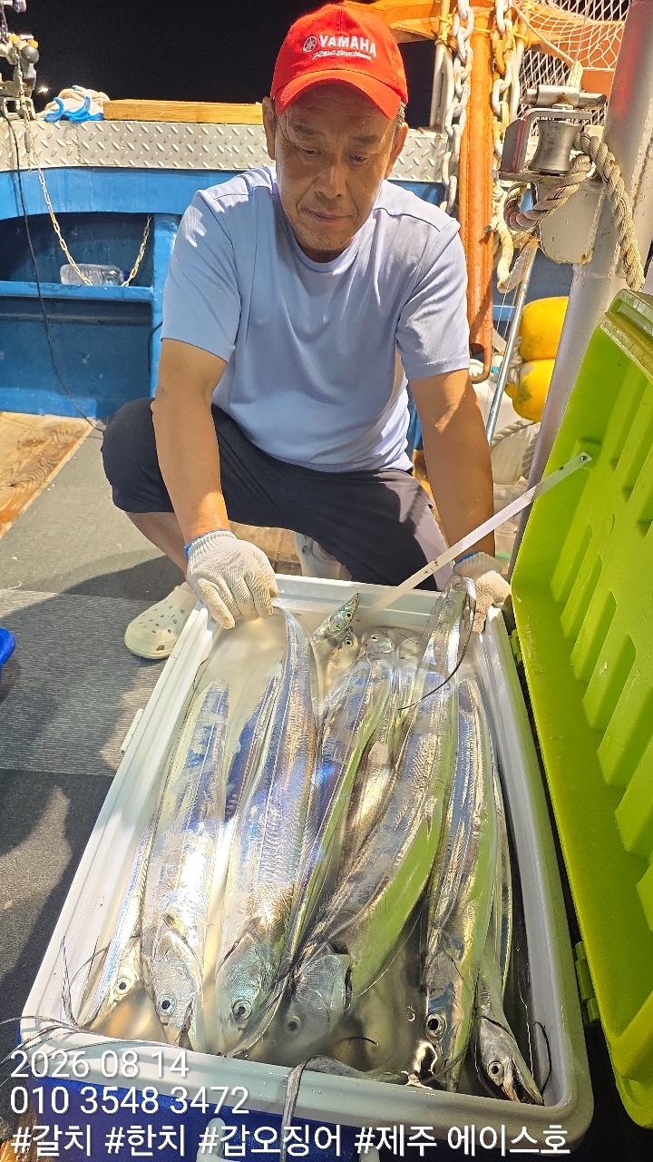 KakaoTalk_20260814_140317579.jpg