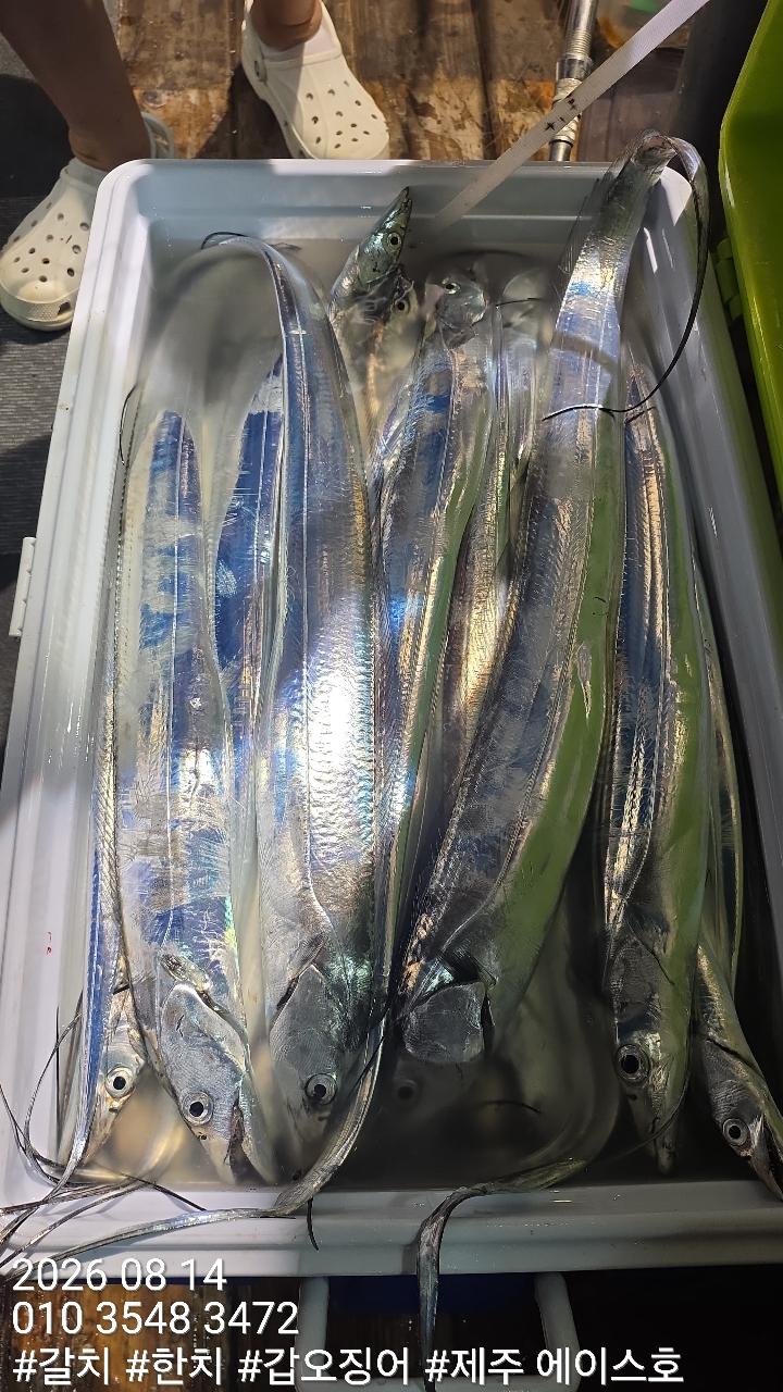KakaoTalk_20260814_140317579_05.jpg