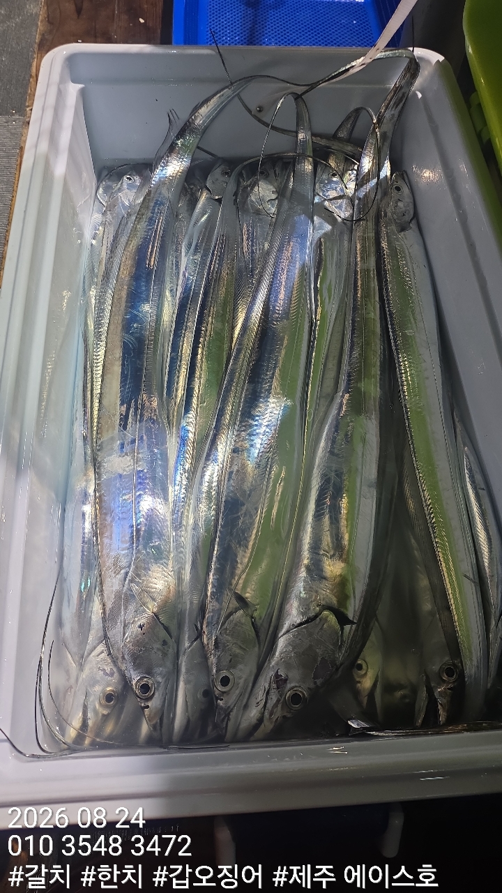 KakaoTalk_20260824_173851509_07.jpg