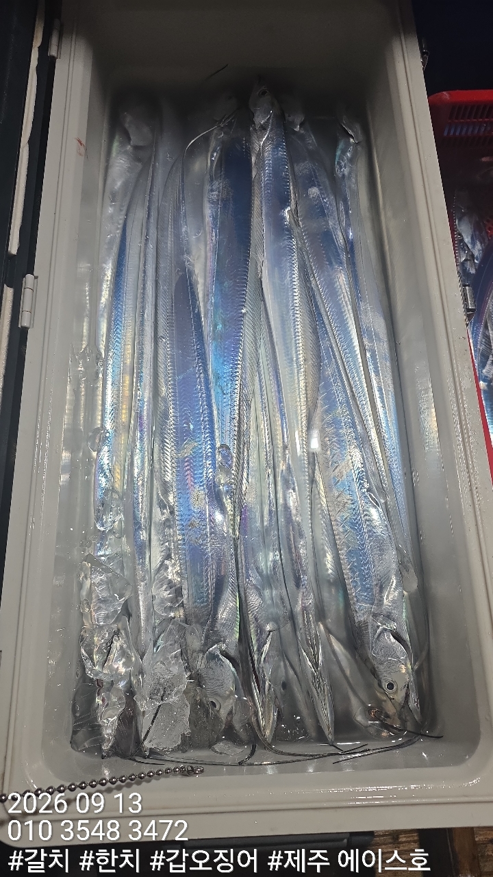 KakaoTalk_20260913_124313937_14.jpg