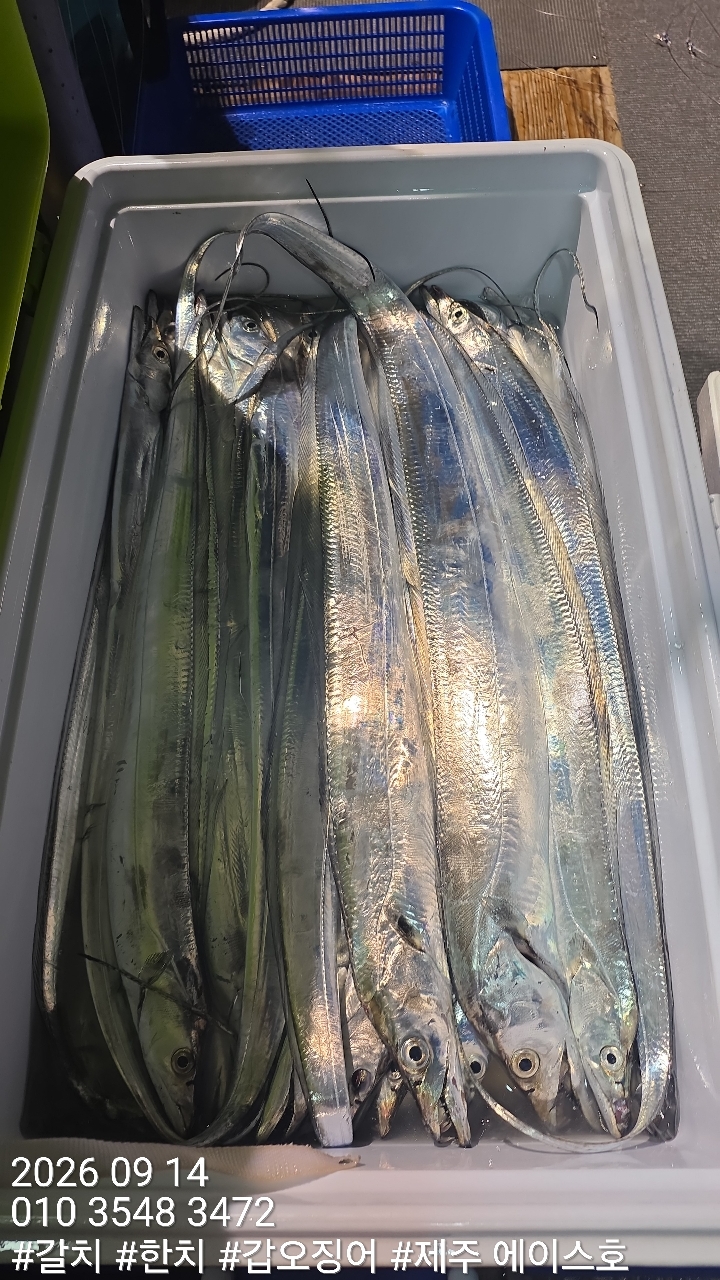 KakaoTalk_20260914_102248445_12.jpg