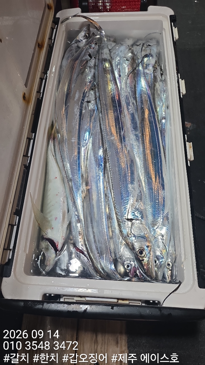 KakaoTalk_20260914_102248445_11.jpg