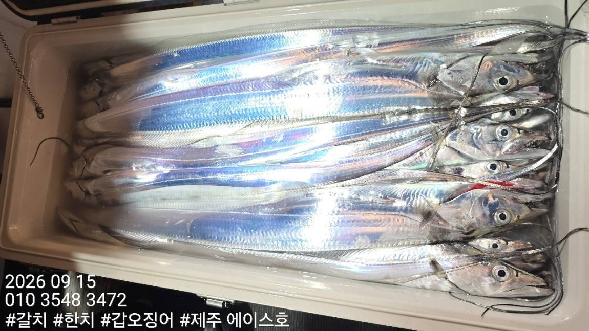 KakaoTalk_20260916_075247682_06.jpg