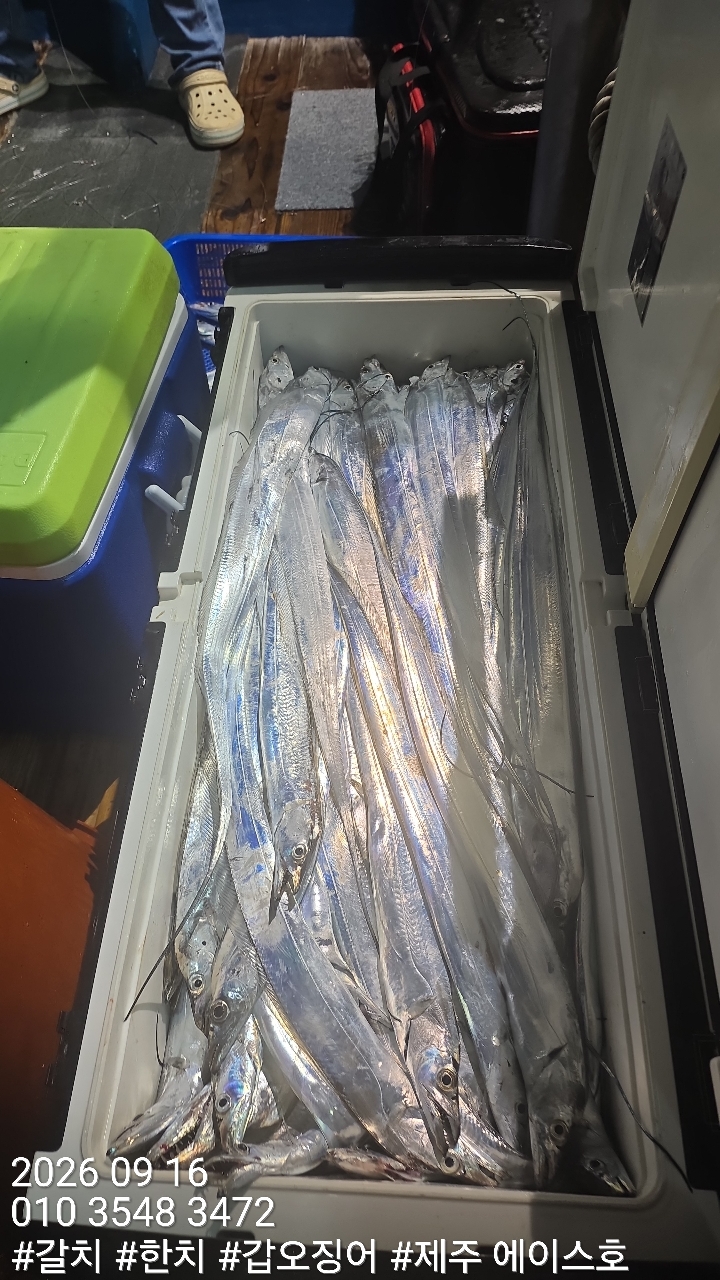 KakaoTalk_20260917_124710136_14.jpg