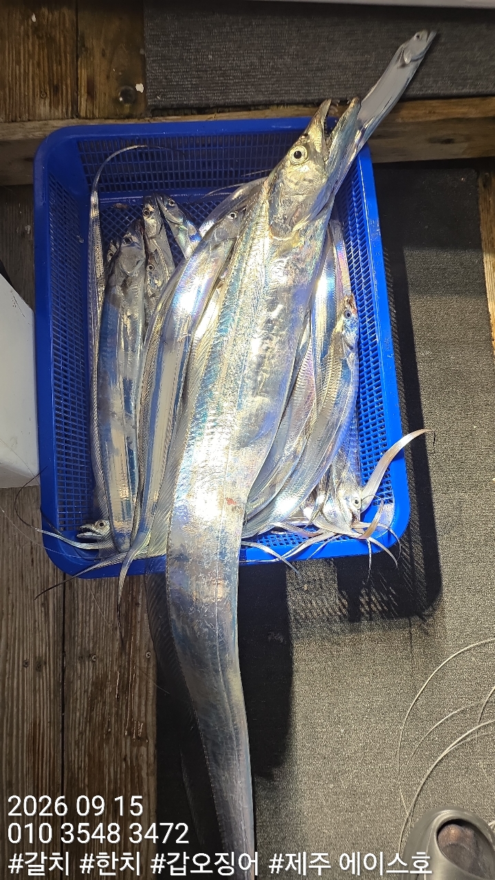 KakaoTalk_20260917_124710136_15.jpg