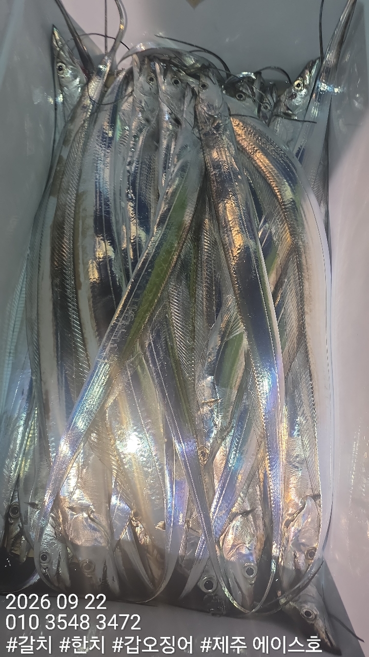 KakaoTalk_20260923_125448817_08.jpg