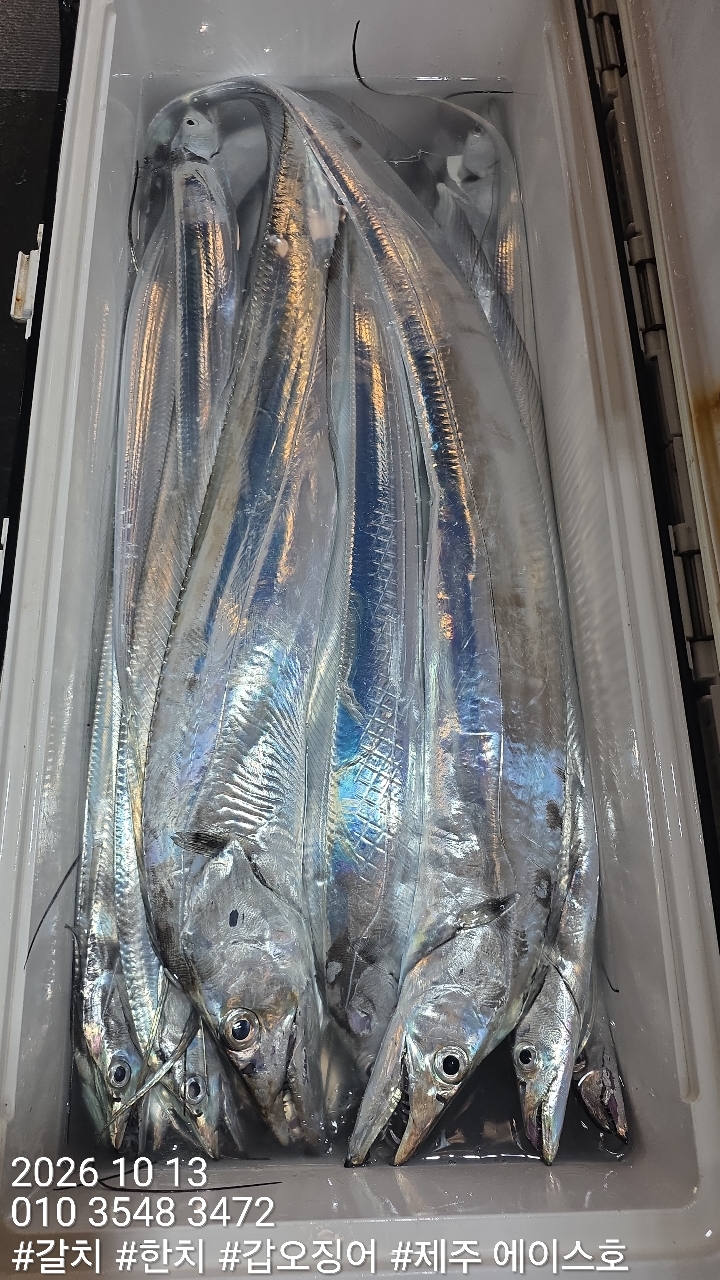 KakaoTalk_20261013_120424020_09.jpg