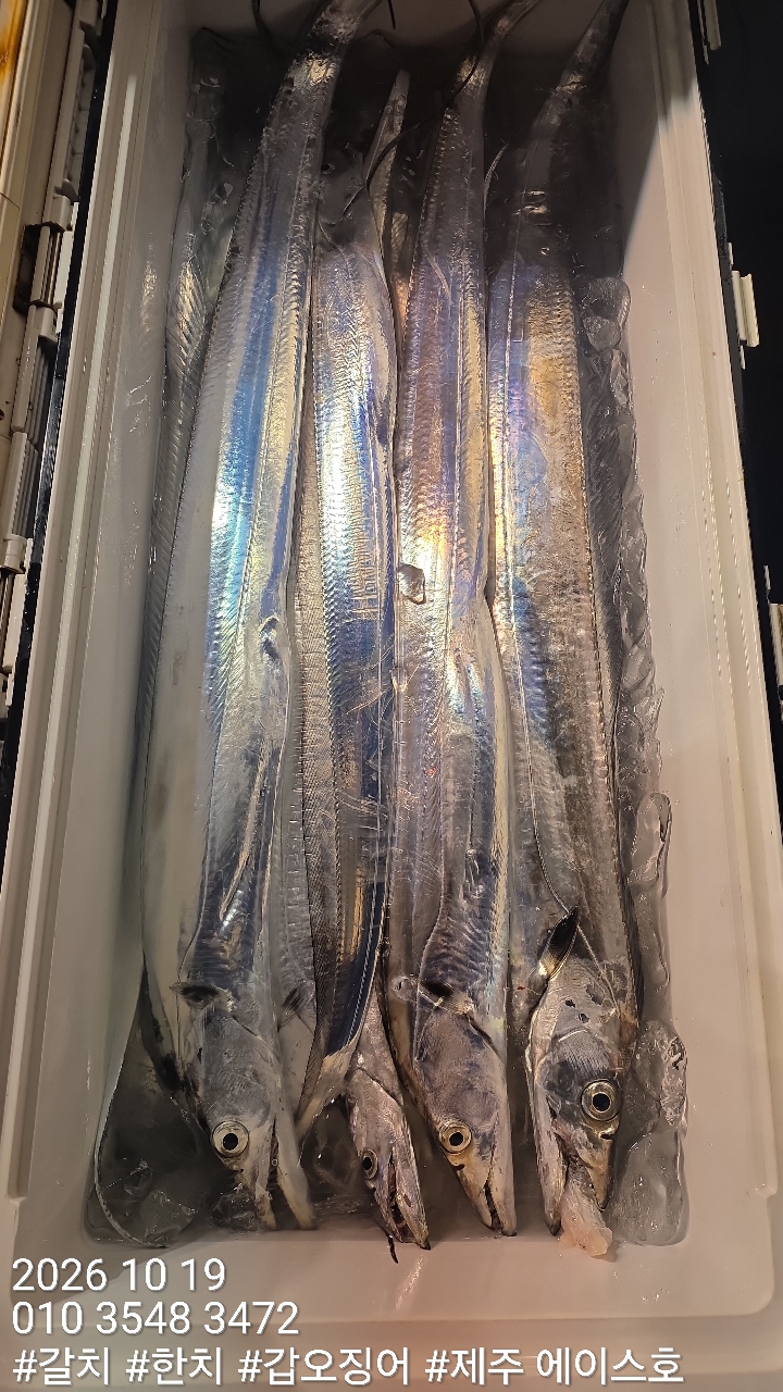 KakaoTalk_20261019_132436958_04.jpg
