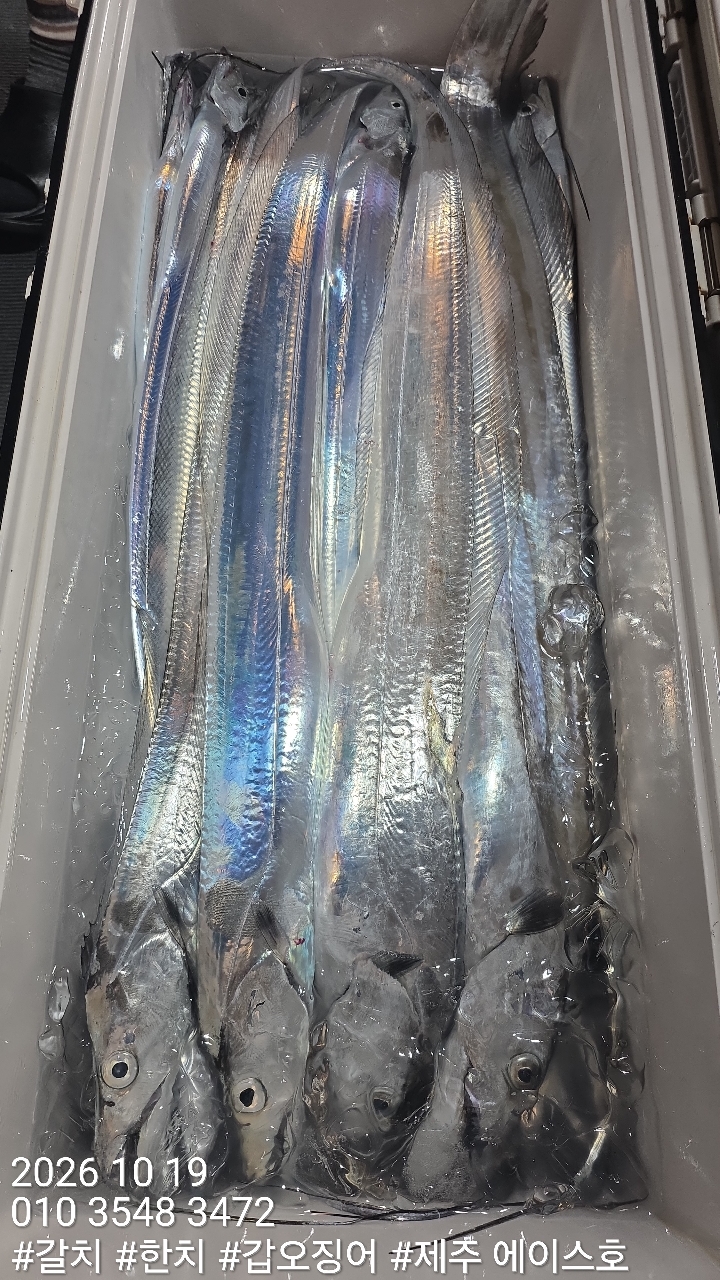 KakaoTalk_20261019_132436958_07.jpg