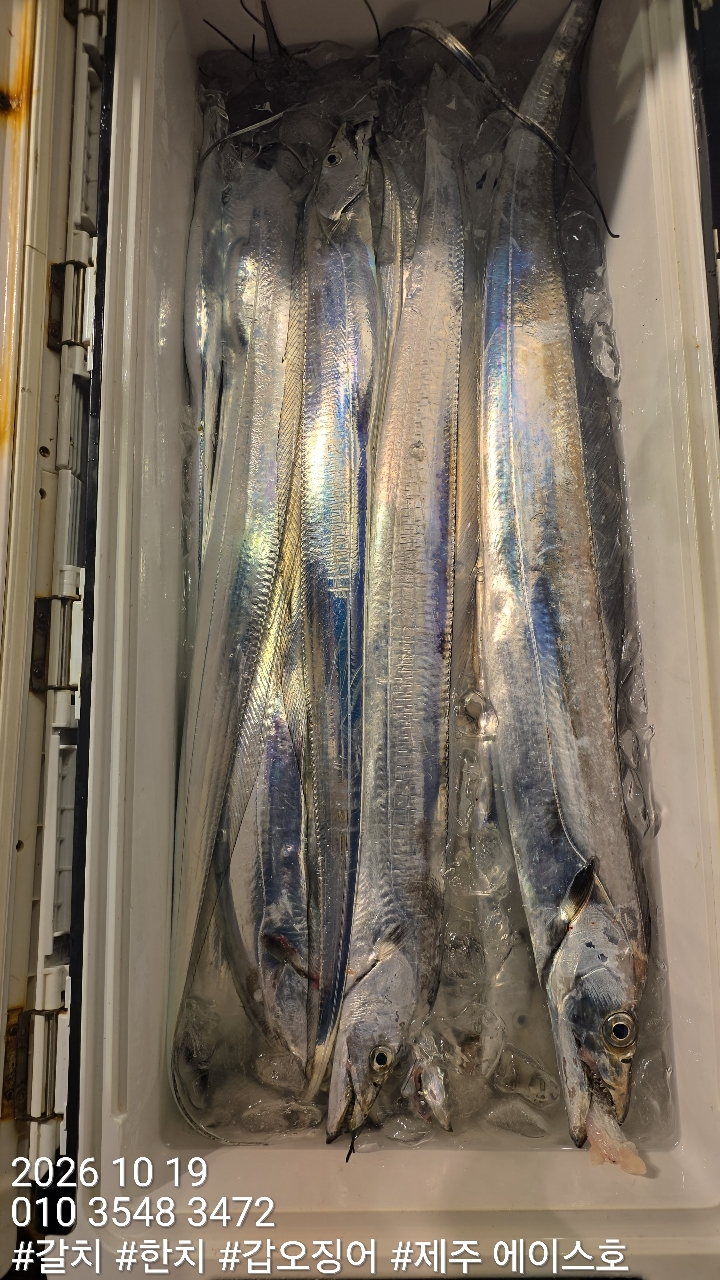 KakaoTalk_20261019_132436958_08.jpg