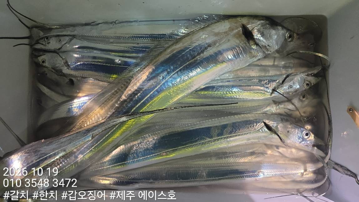 KakaoTalk_20261019_132436958_11.jpg