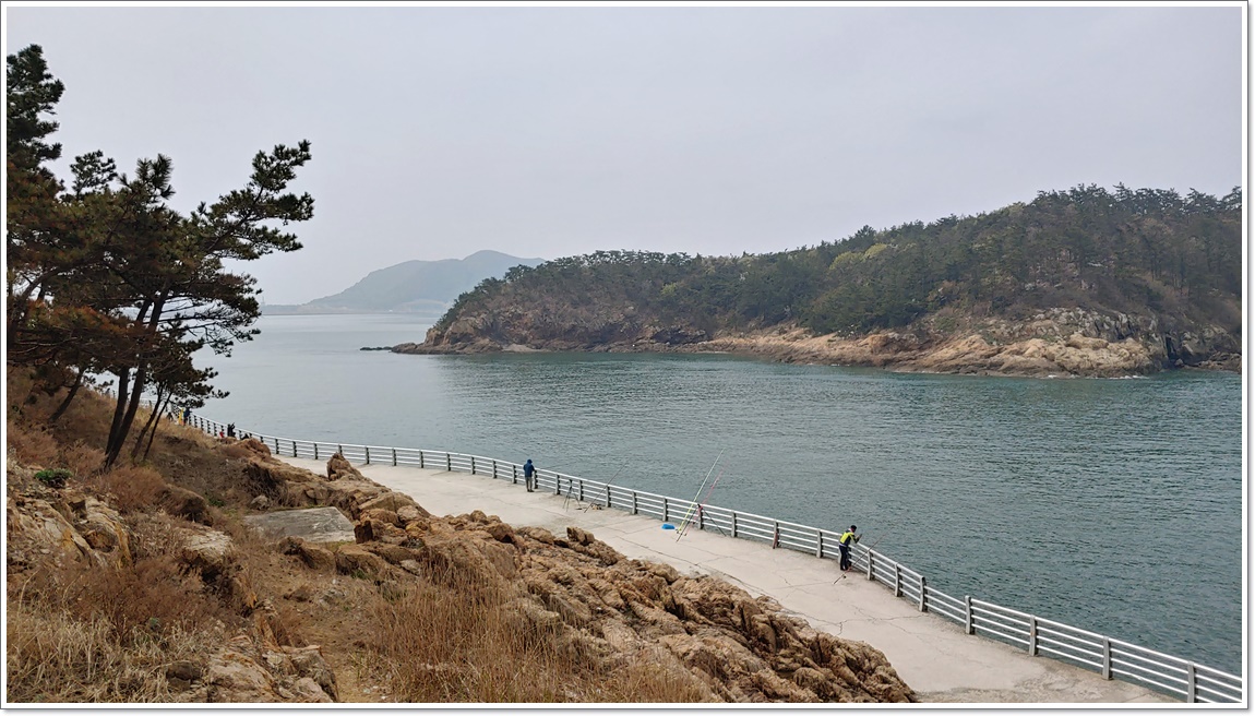 어신 바다낚시조황 > 군산 야미도에서의 2박 3일 : 낚시사랑