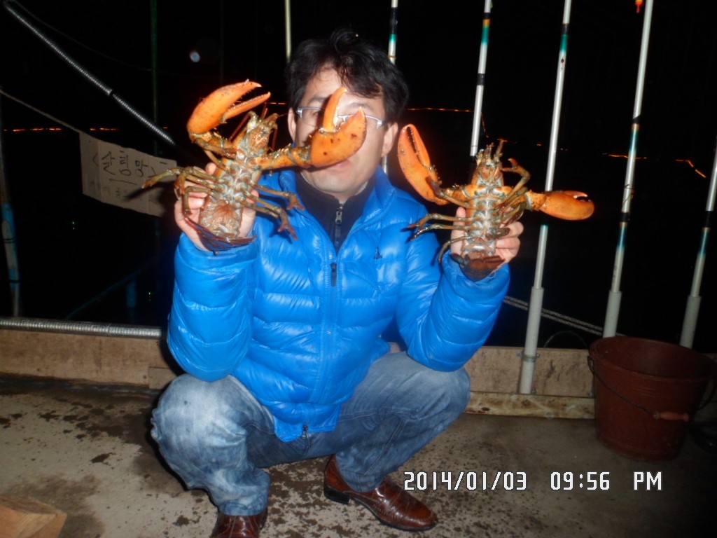 ��Ȳ 343.jpg
