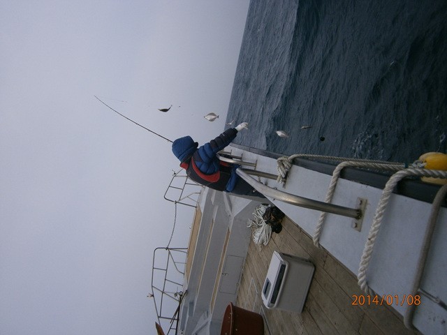 P1080003.jpg