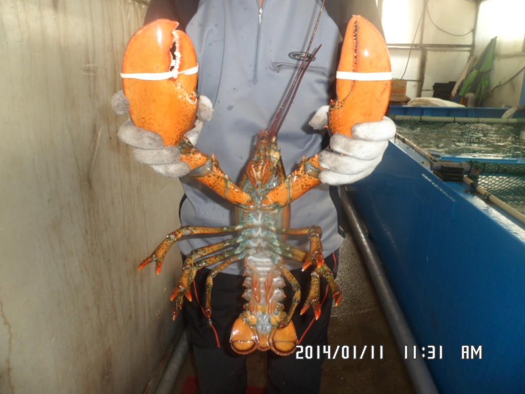 SAM_7890.JPG