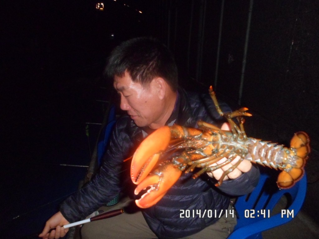 SAM_7986.JPG