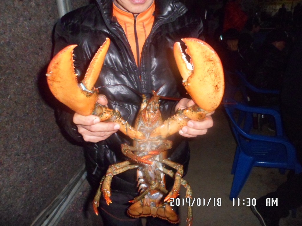 SAM_8137.JPG