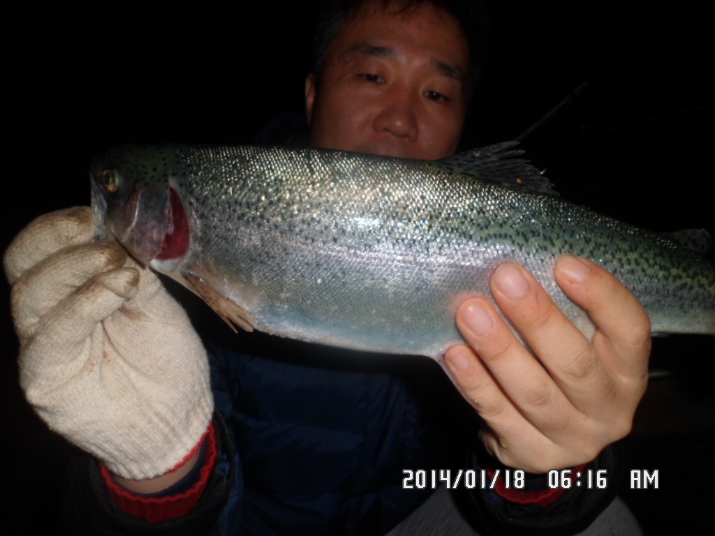 SAM_8125.JPG