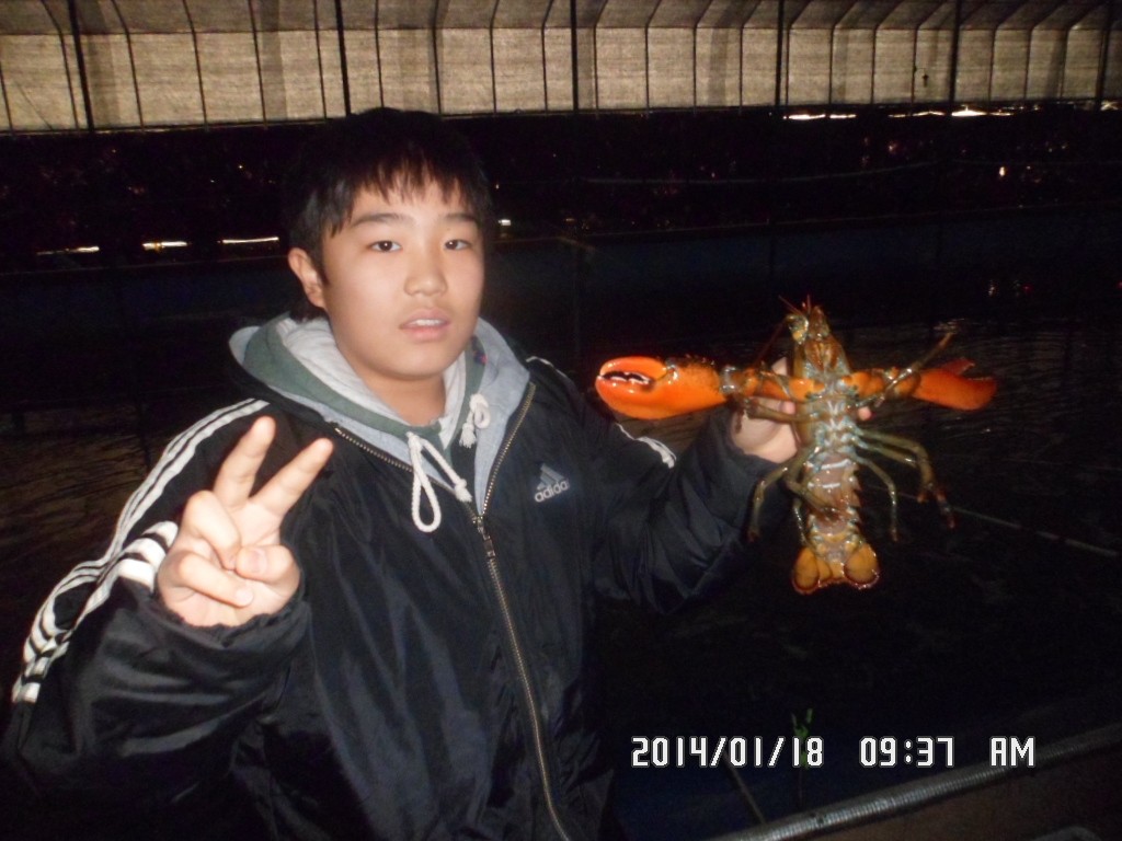SAM_8130.JPG