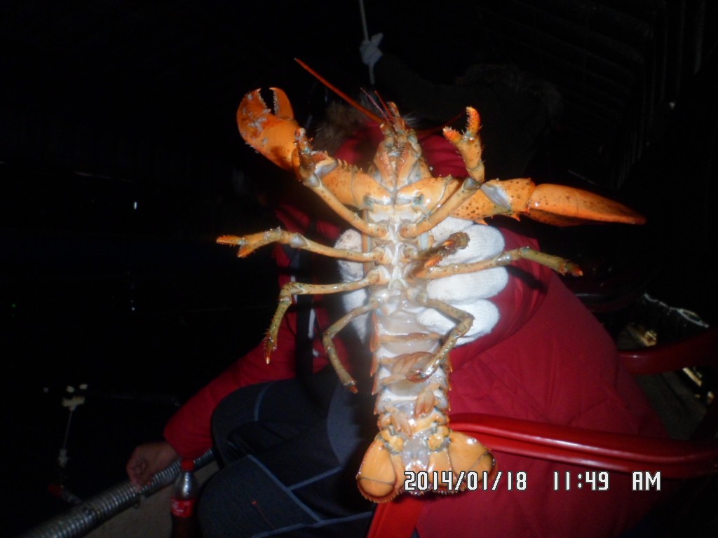 SAM_8145.JPG