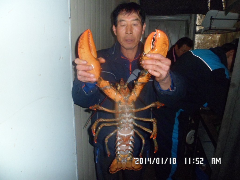 SAM_8146.JPG