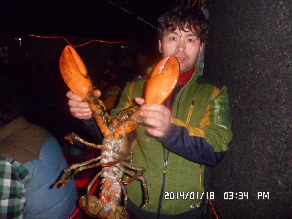 SAM_8149.JPG