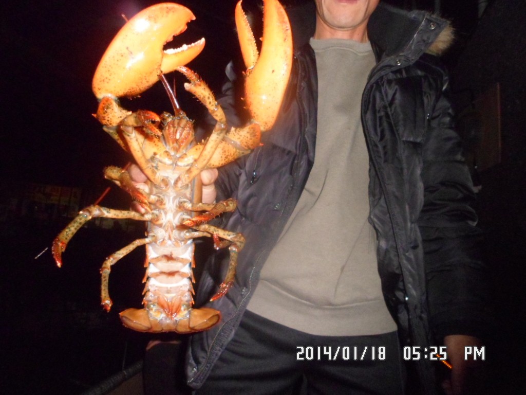 SAM_8152.JPG
