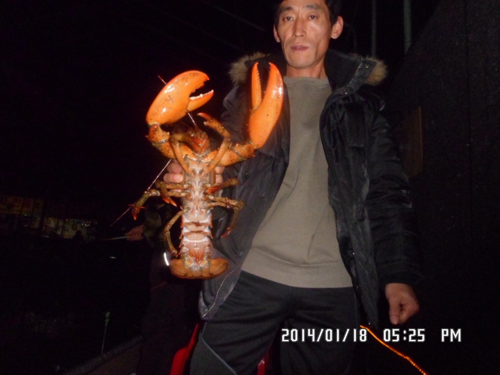 SAM_8153.JPG