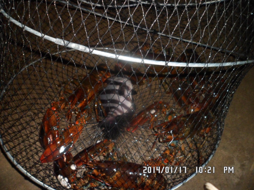 SAM_8116.JPG