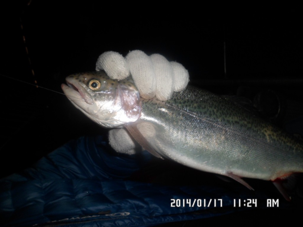 SAM_8100.JPG