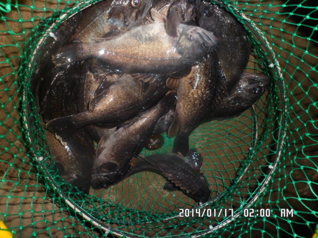 SAM_8092.JPG