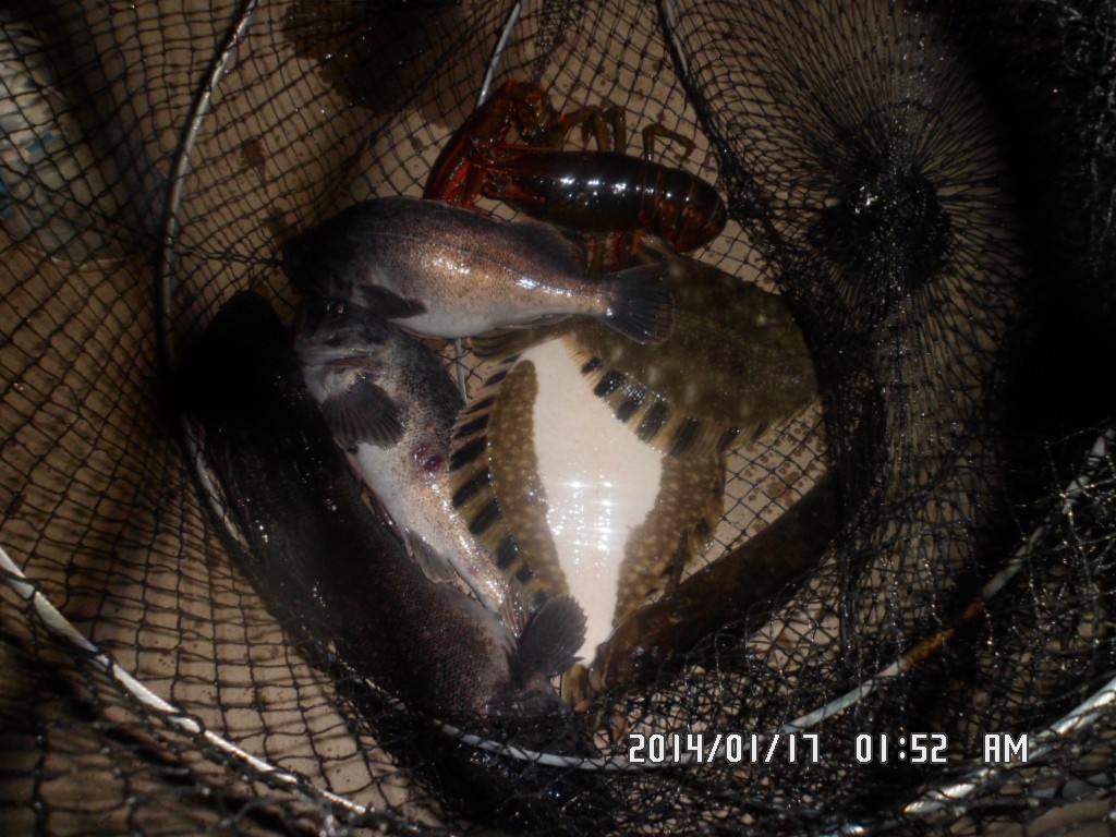 SAM_8091.JPG