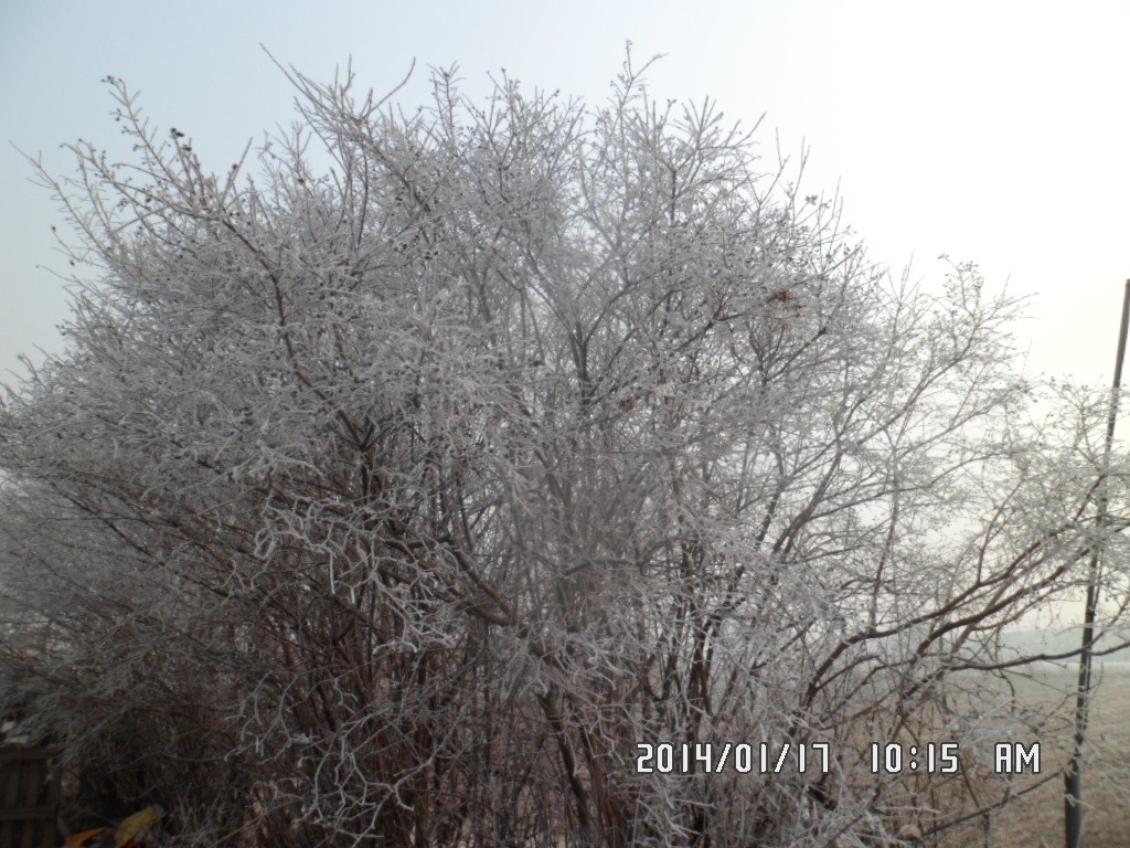 SAM_8096.JPG