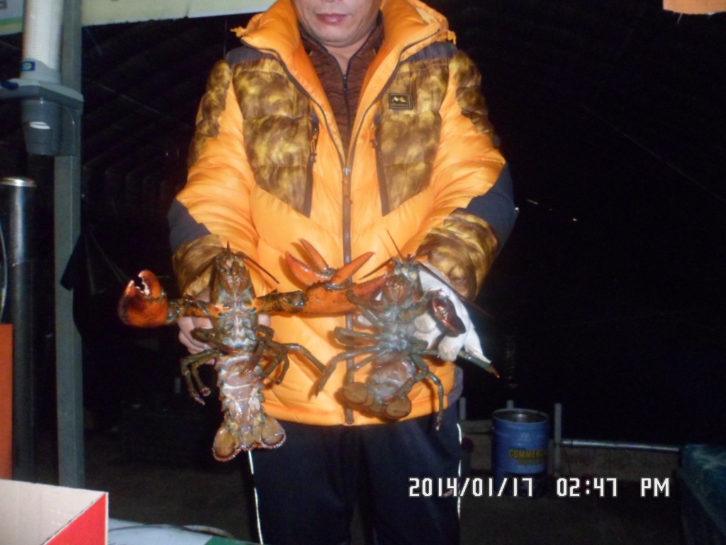 SAM_8103.JPG