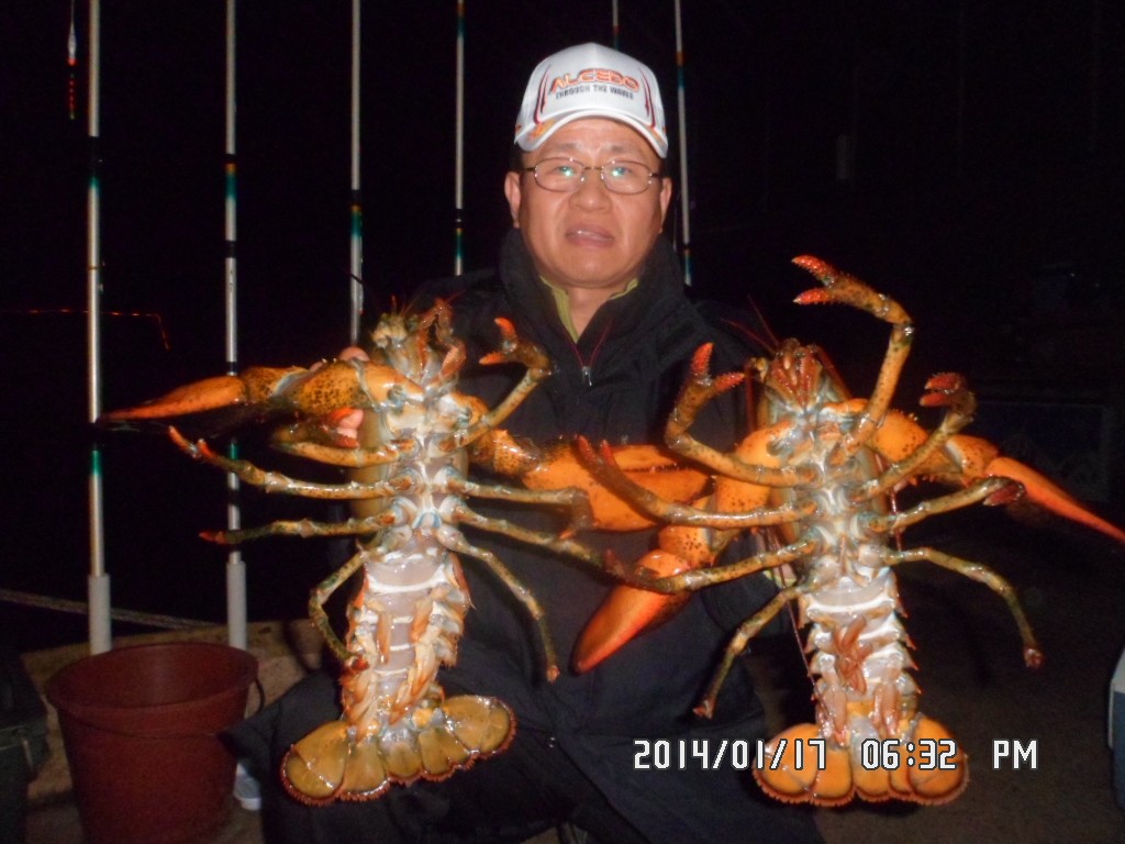 SAM_8105.JPG