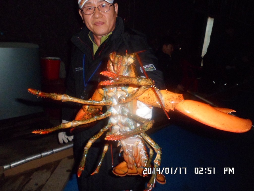 SAM_8104.JPG