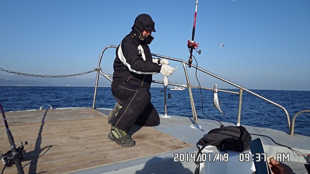 SAM_0119.jpg
