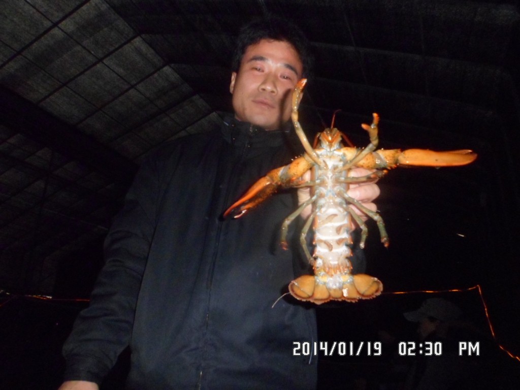 SAM_8181.JPG